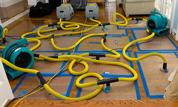 Professional Crawl Space Water Removal technician working in Christiansburg, OH